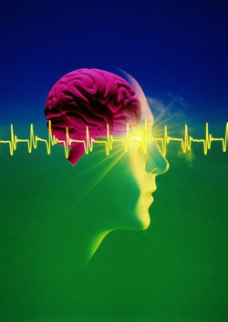 Theta undele brain pierdere în greutate Theta undele brain pierdere în greutate
